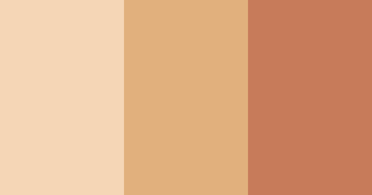Download peachy cinnamon color palette PNG image (landscape)