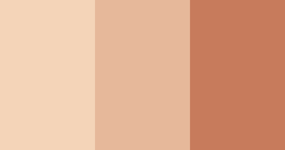Download warm peach color palette PNG image (landscape)