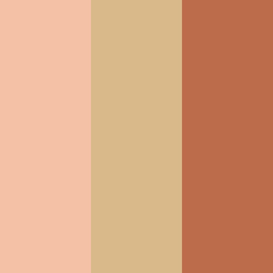 Download peachy cinnamon bliss color palette PNG image (square)