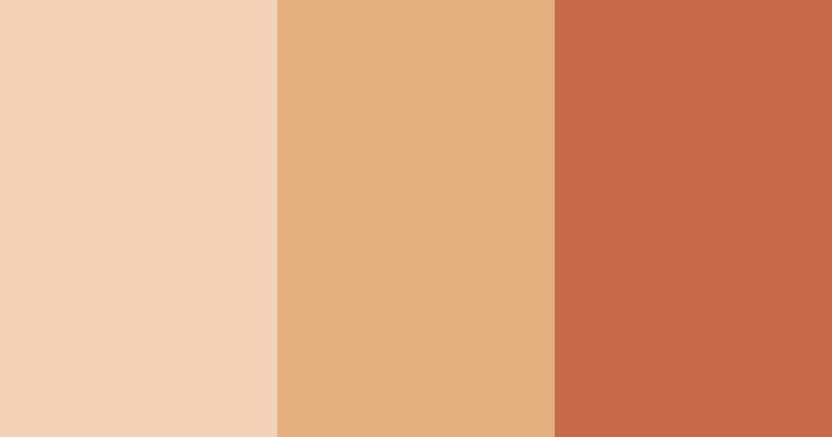 Download peachy brown color palette PNG image (landscape)