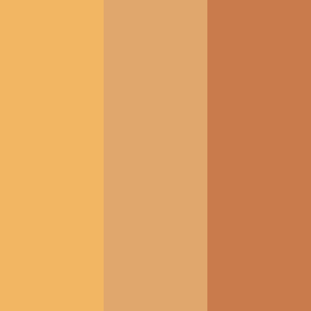 Download peachy brown color palette PNG image (square)
