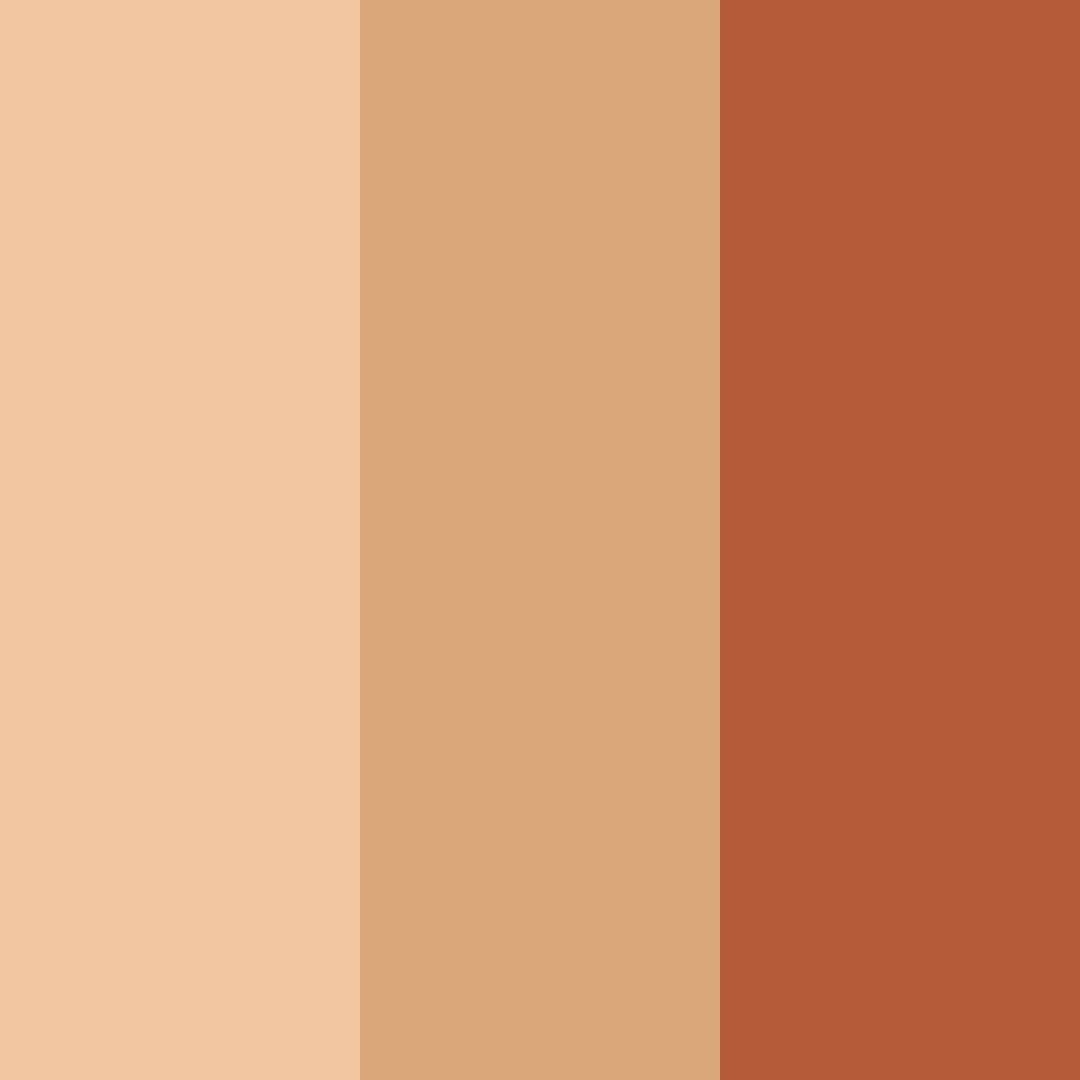 Download warm cinnamon color palette PNG image (square)