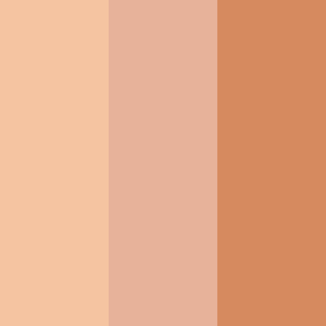 Download peachy brown color palette PNG image (square)