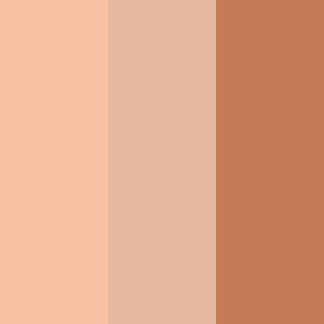 Download warm peach color palette PNG image (square)