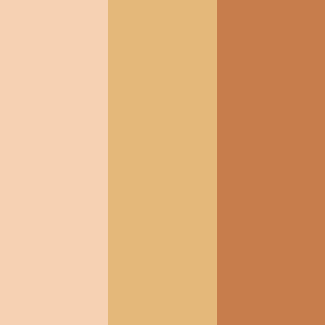 Download rustic creamsicle dreams color palette PNG image (square)