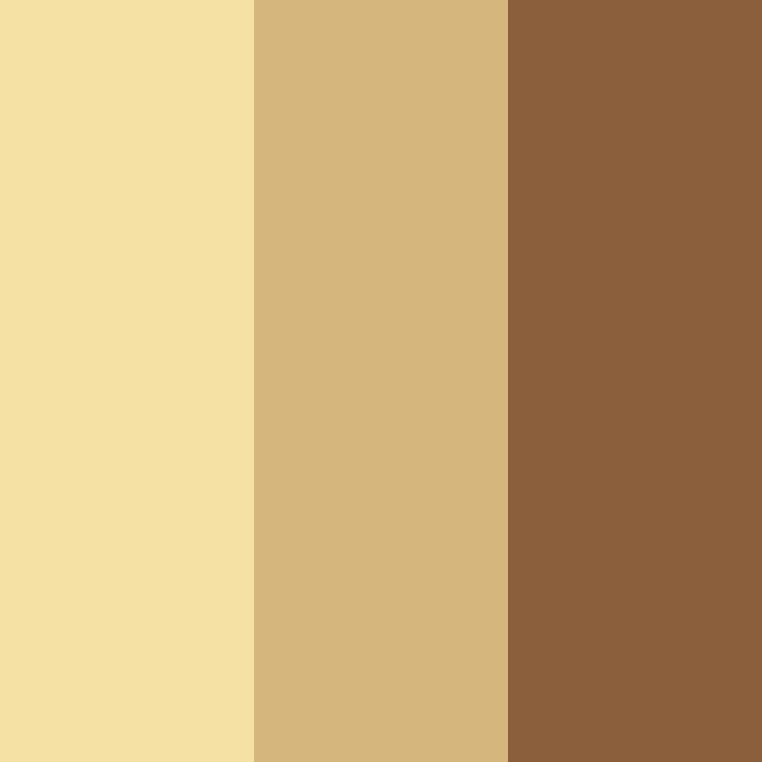 Download brunette bliss color palette PNG image (square)