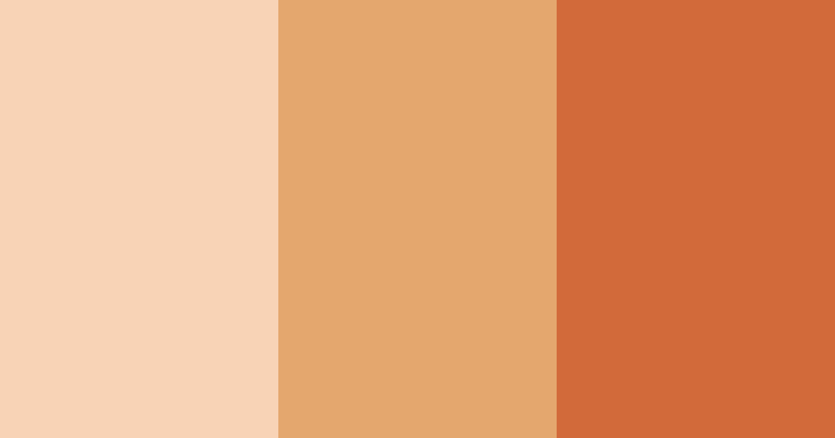 Download sunset spice color palette PNG image (landscape)