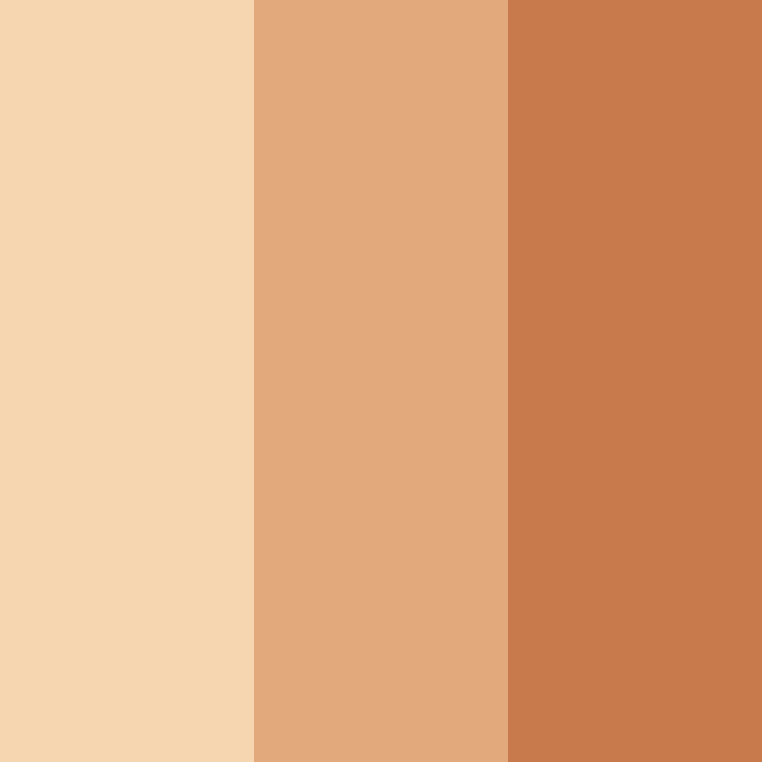 Download peachy cinnamon color palette PNG image (square)