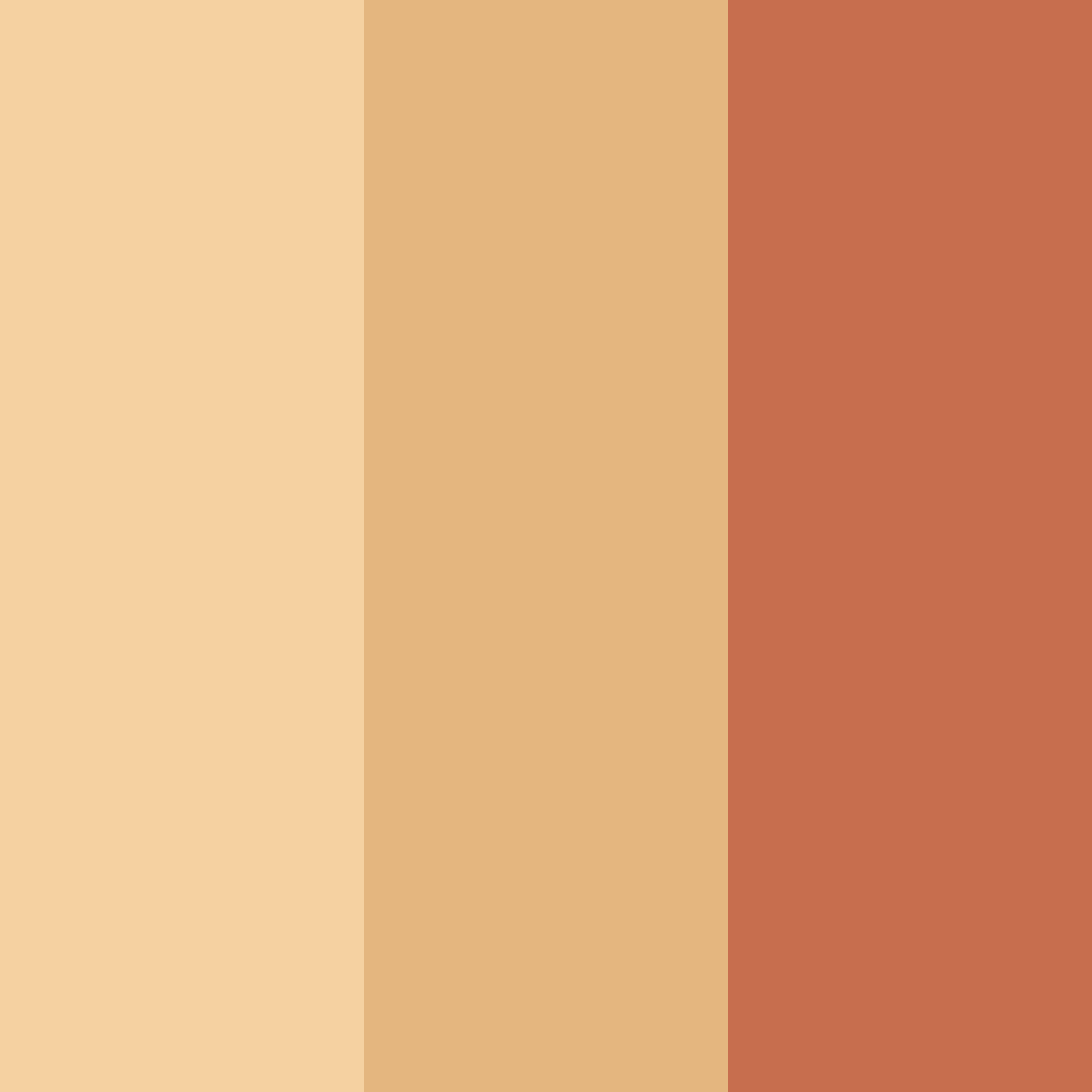Download autumn embrace color palette PNG image (square)