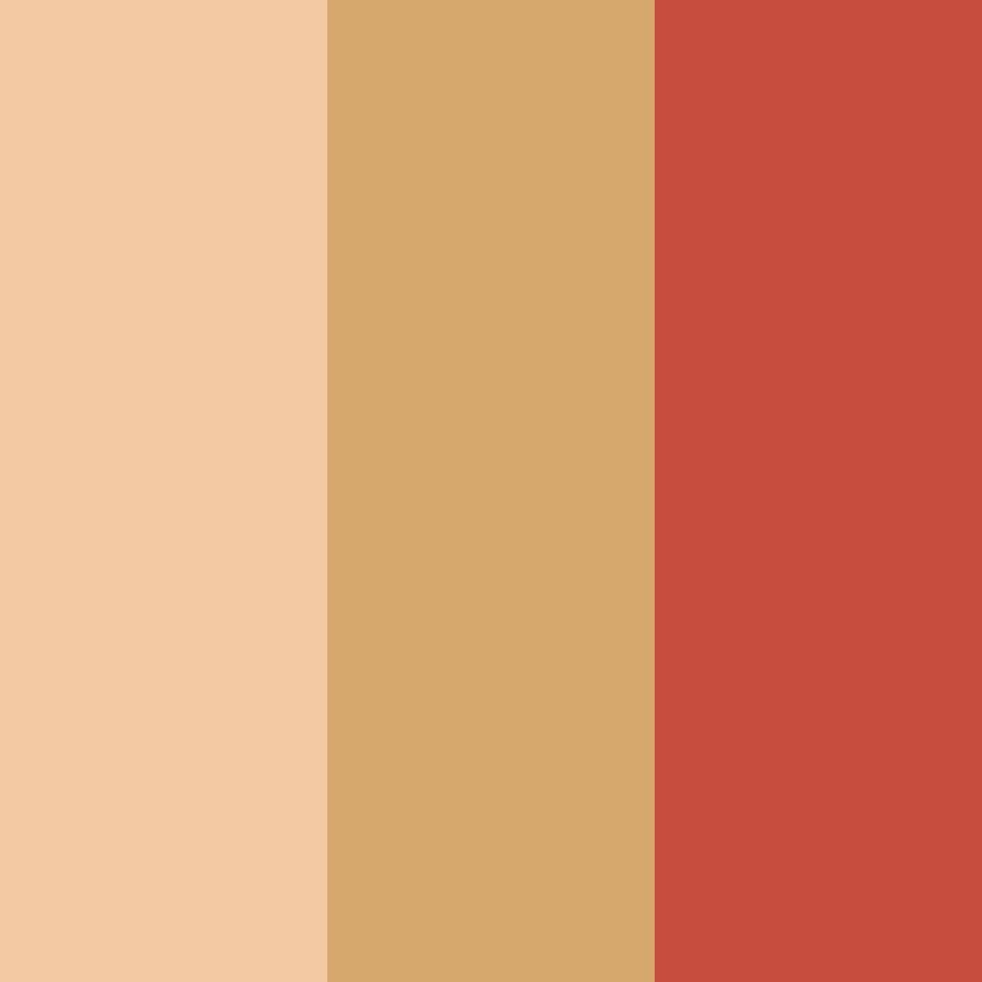 Download peachy rust color palette PNG image (square)