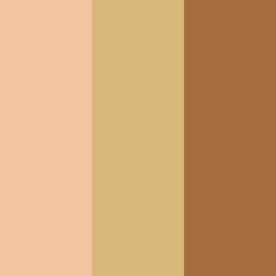 Download warm peach color palette PNG image (square)