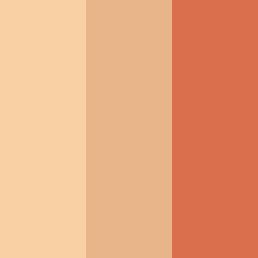 Download peachy rust color palette PNG image (square)