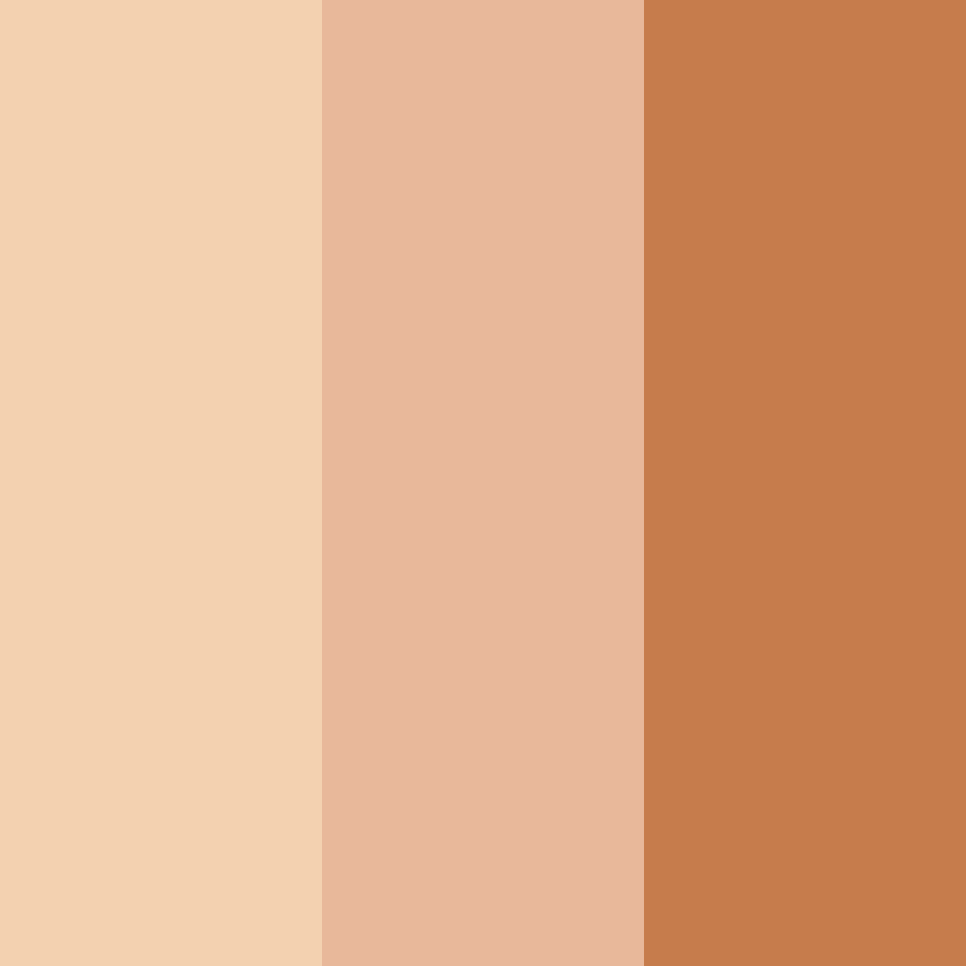 Download peachy brown color palette PNG image (square)