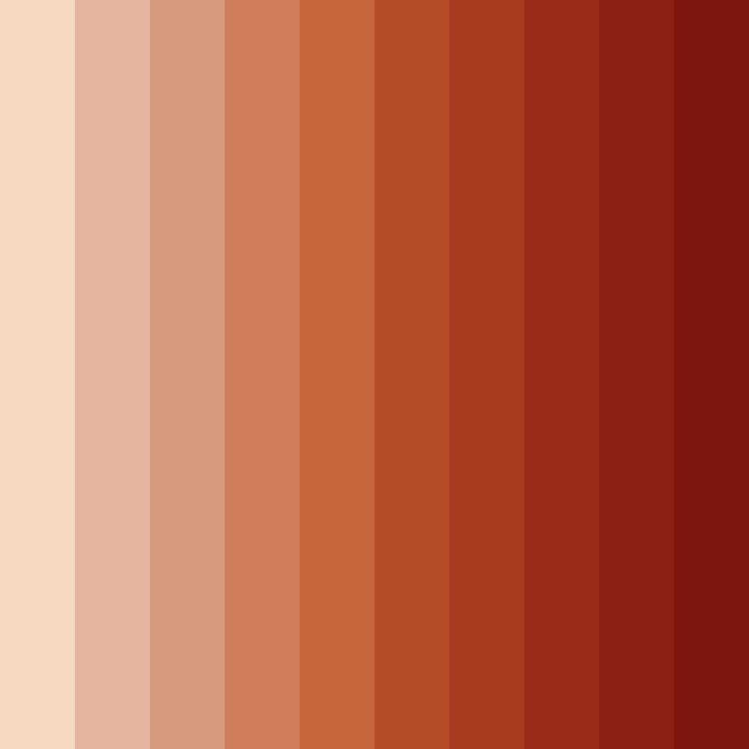 Download warm cinnamon color palette PNG image (square)