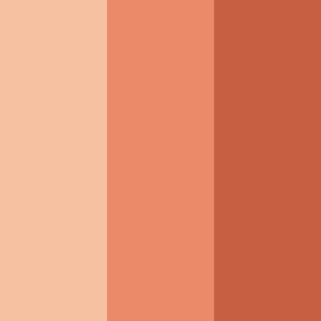 Download rusty peach color palette PNG image (square)