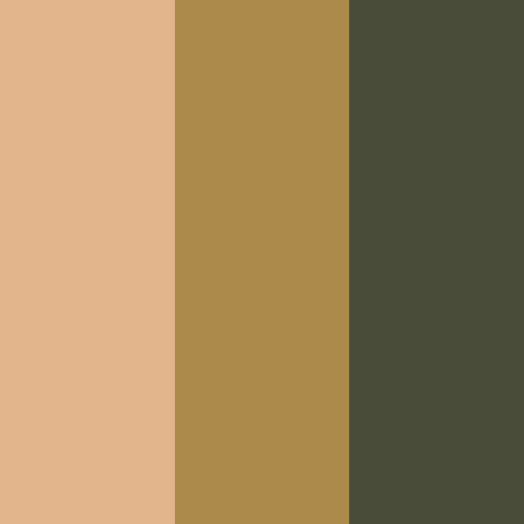 Download amber veil color palette PNG image (square)