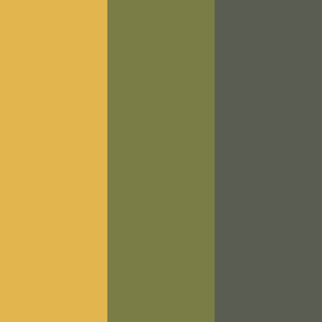Download amber and olive shades color palette PNG image (square)