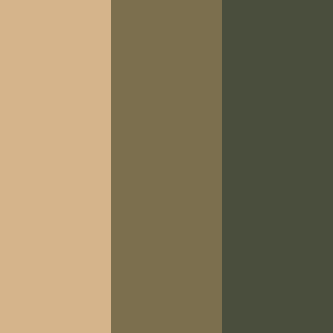 Download amberwood mist color palette PNG image (square)