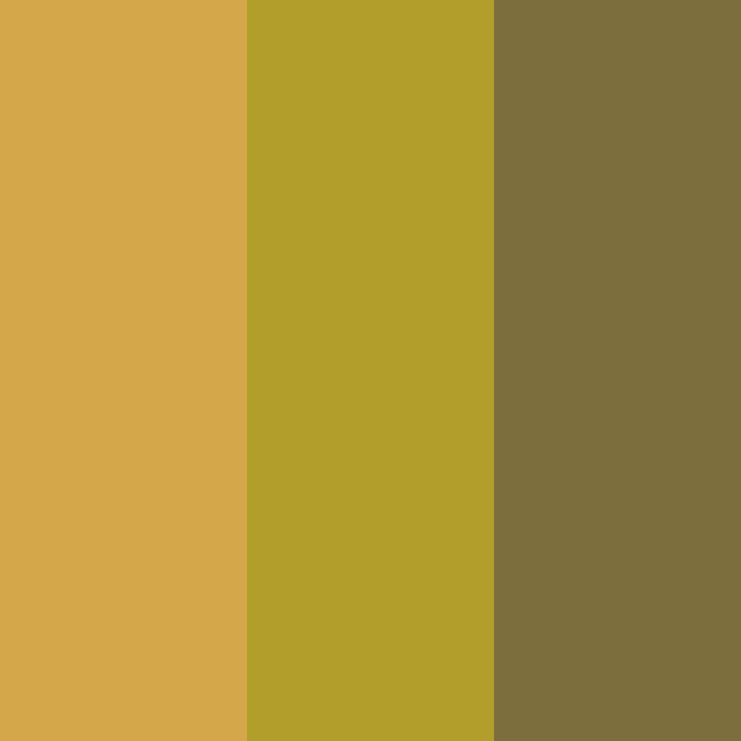 Download olive amber color palette PNG image (square)