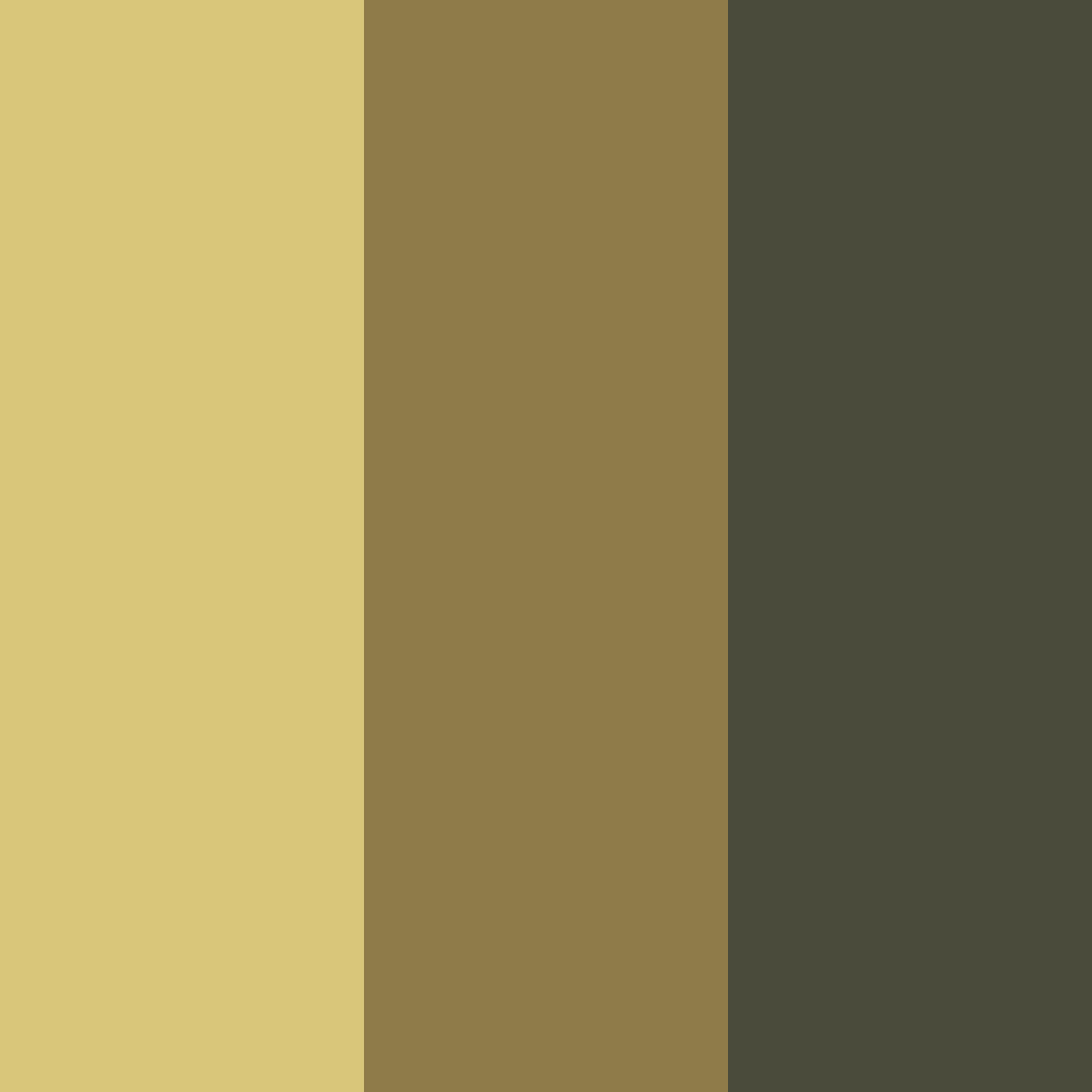 Download olive amber color palette PNG image (square)