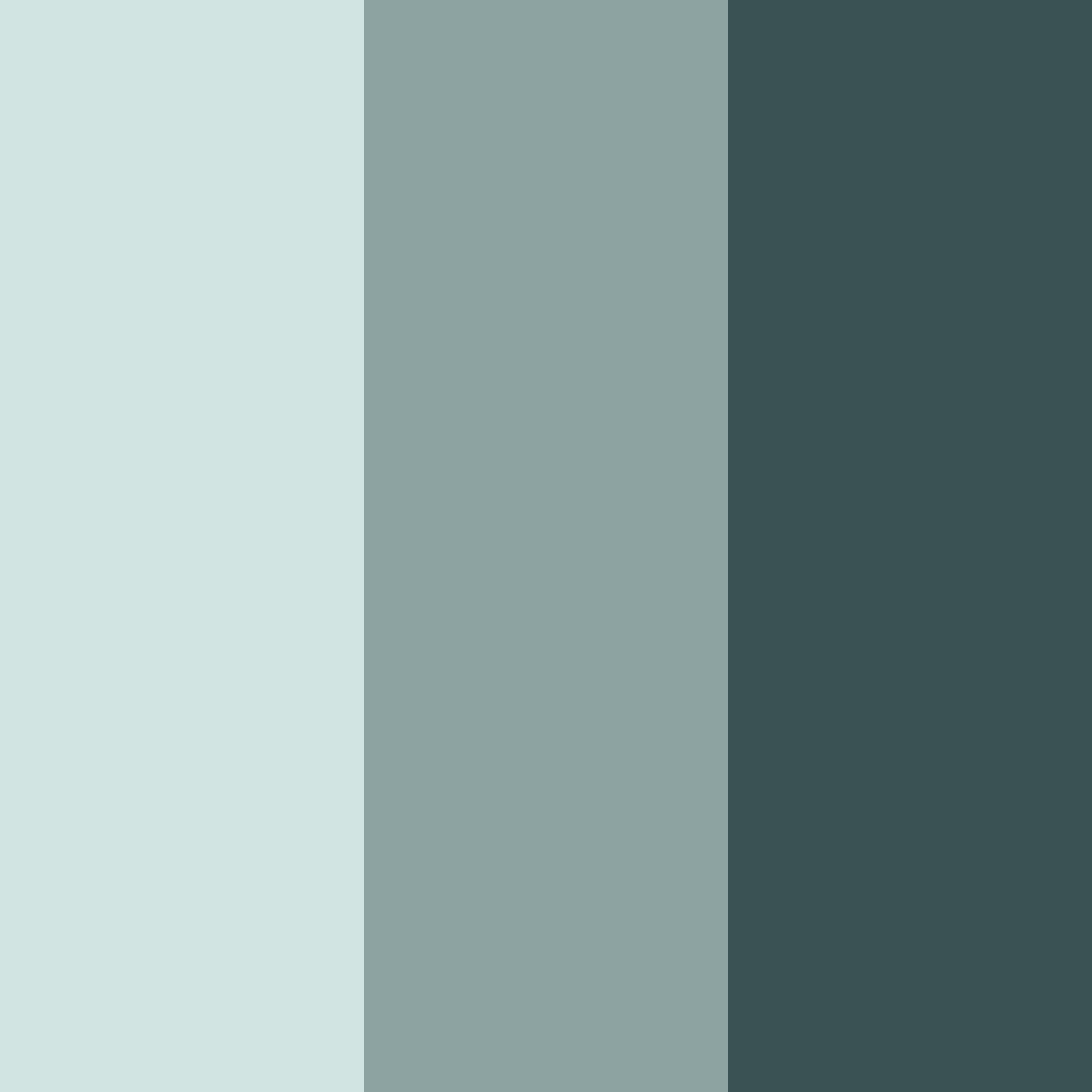 Download frosted evergreen serenity color palette PNG image (square)