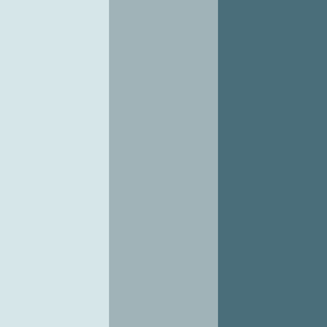 Download frosted evergreen serenity color palette PNG image (square)