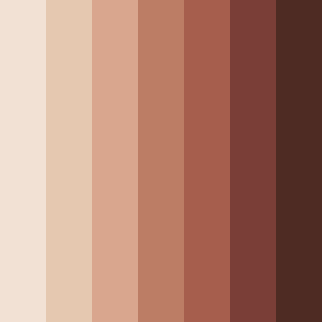 Download chocolate shades color palette PNG image (square)