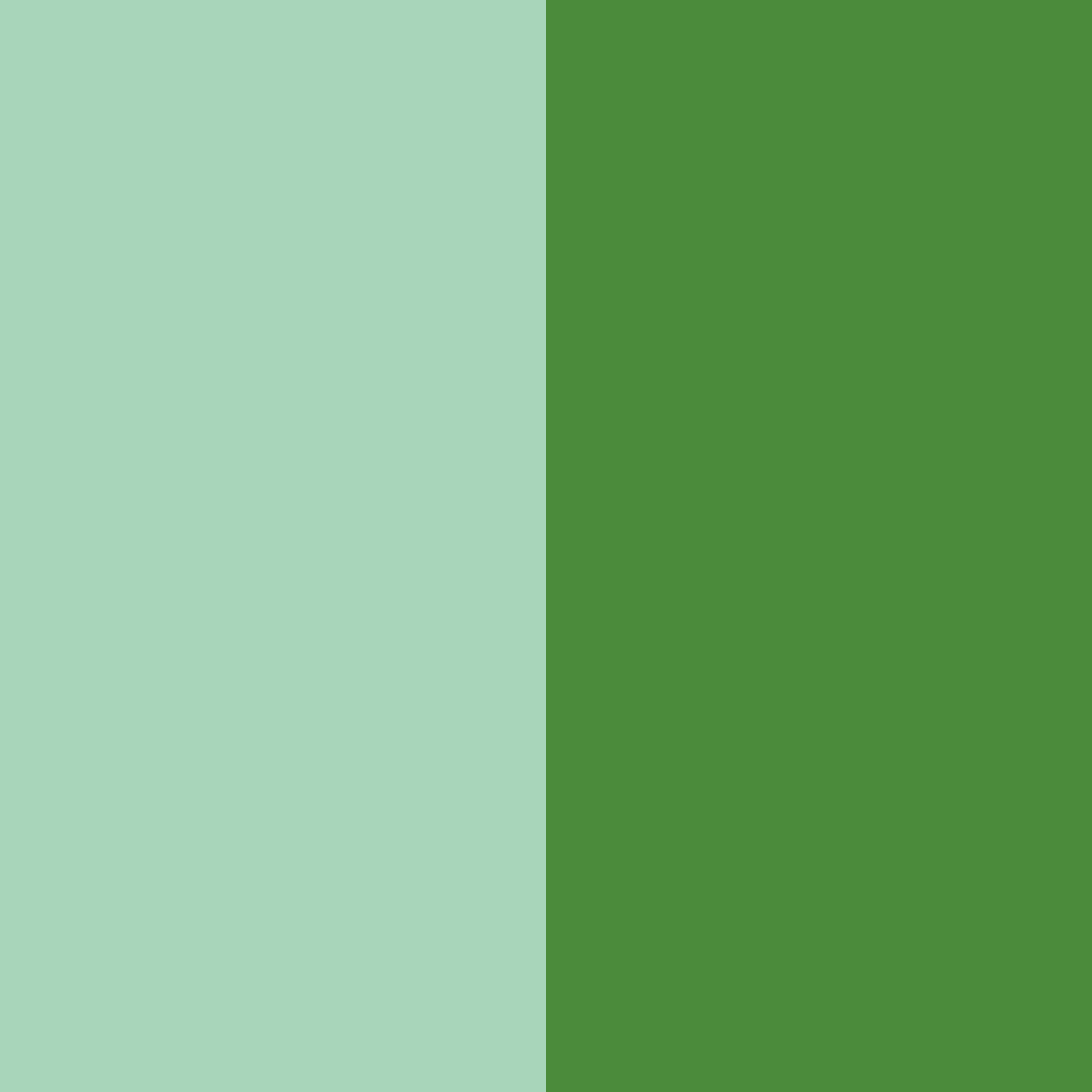 Download green forest color palette PNG image (square)