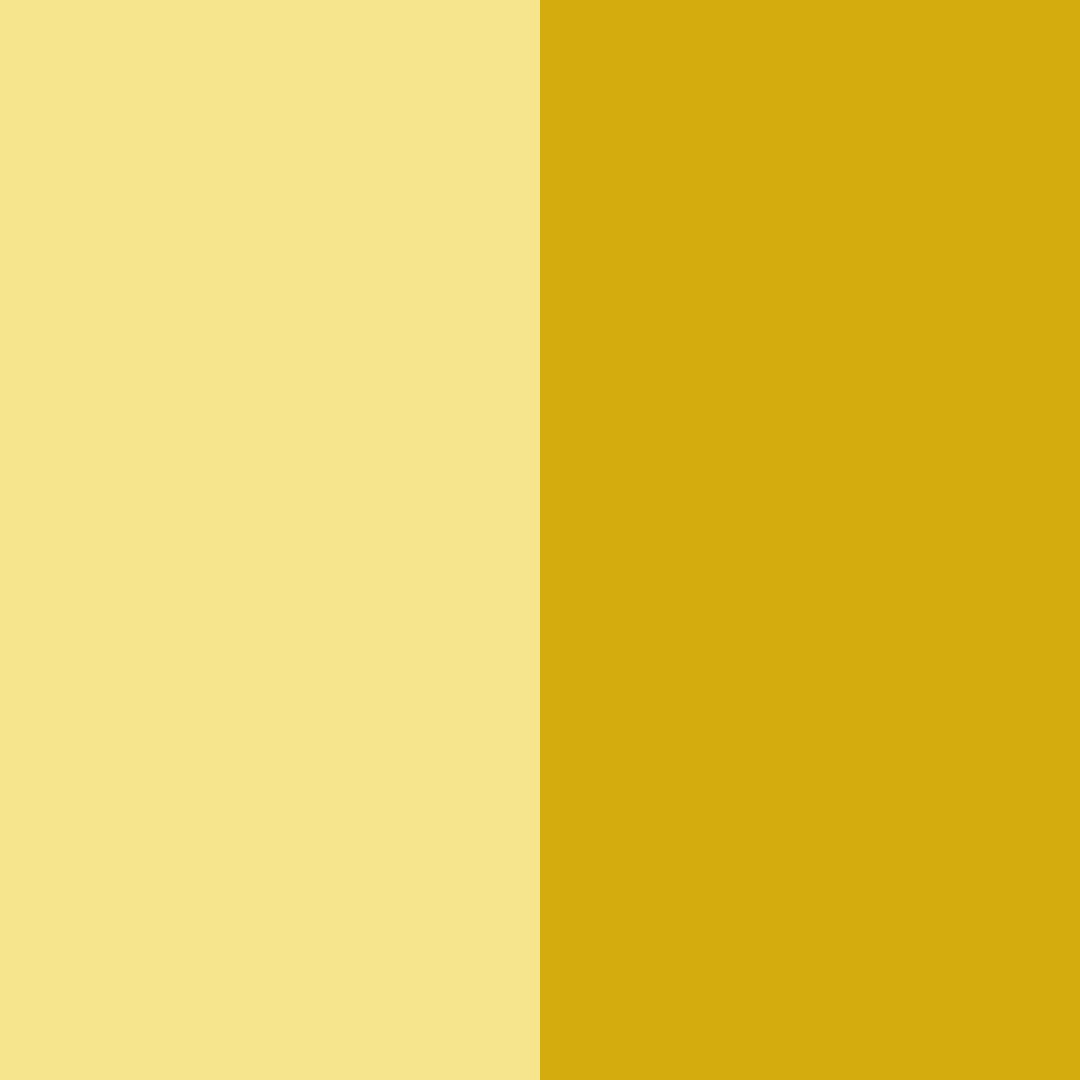 Download golden whisper color palette PNG image (square)