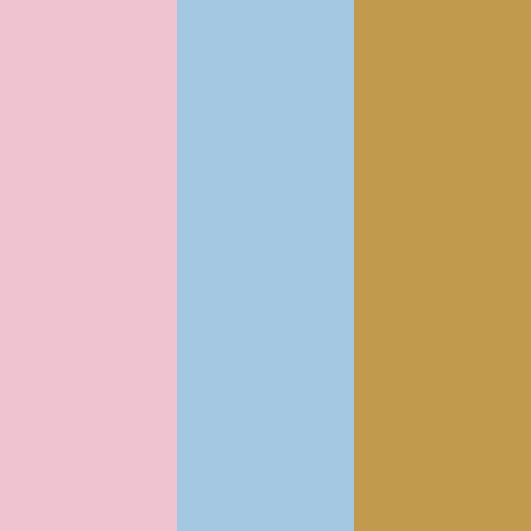 Download warm pink and blue color palette PNG image (square)