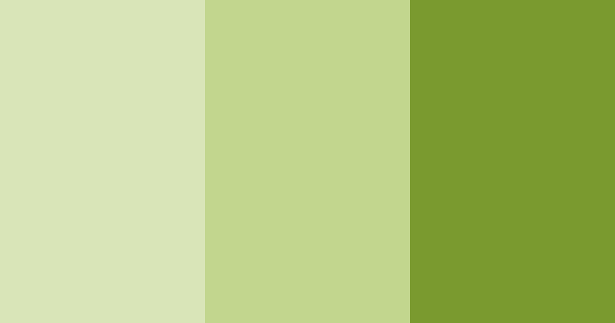 Download verdant elegance color palette PNG image (landscape)