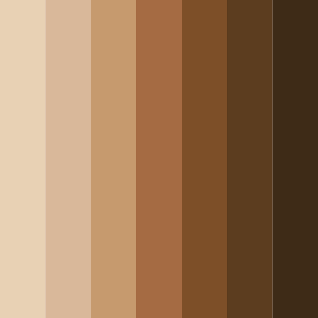 Download warm brown tones color palette PNG image (square)