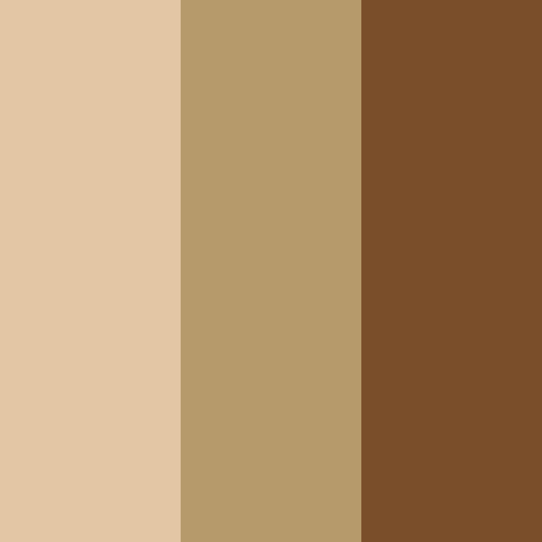 Download autumn embrace color palette PNG image (square)