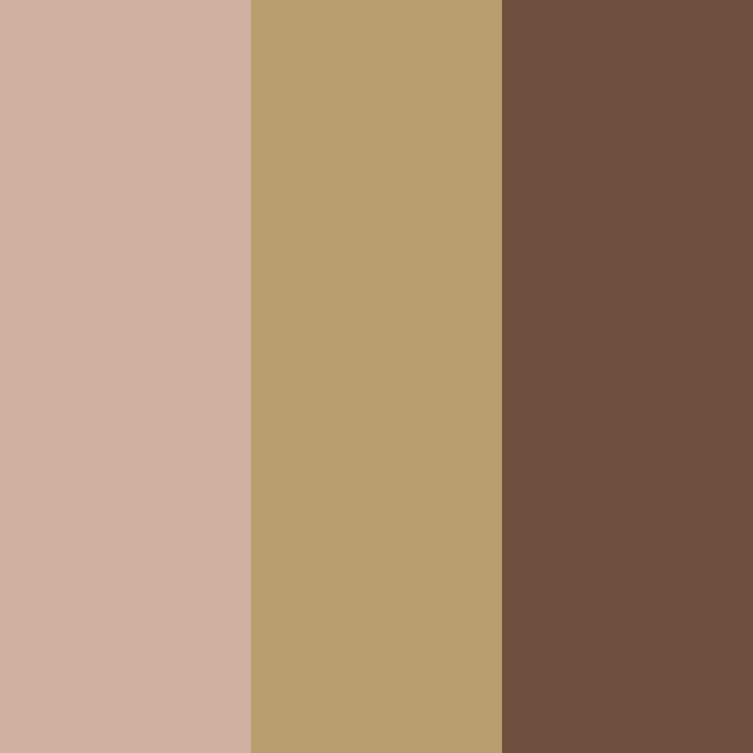 Download golden cocoa whisper color palette PNG image (square)