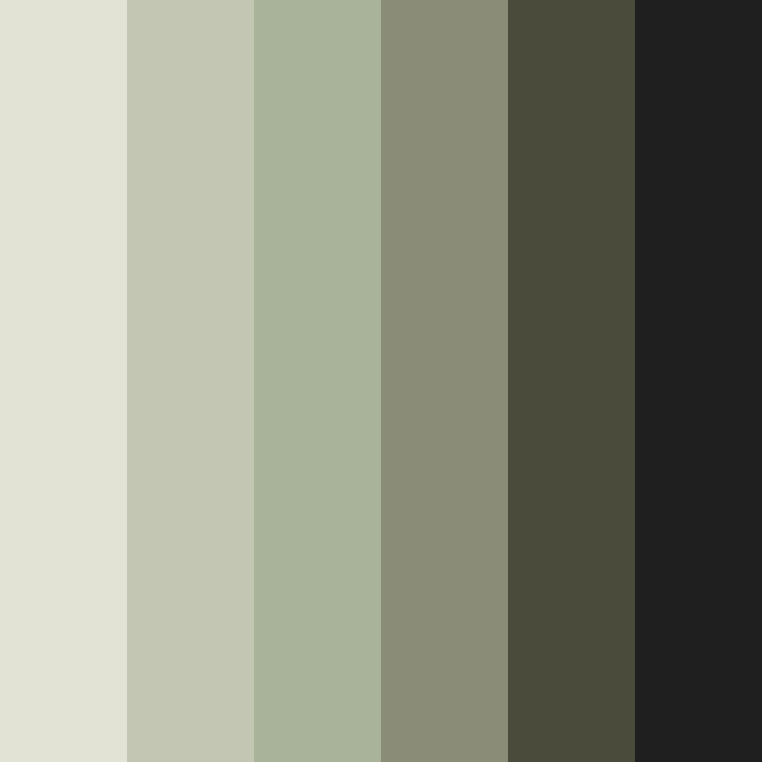 Download whispers of earth color palette PNG image (square)
