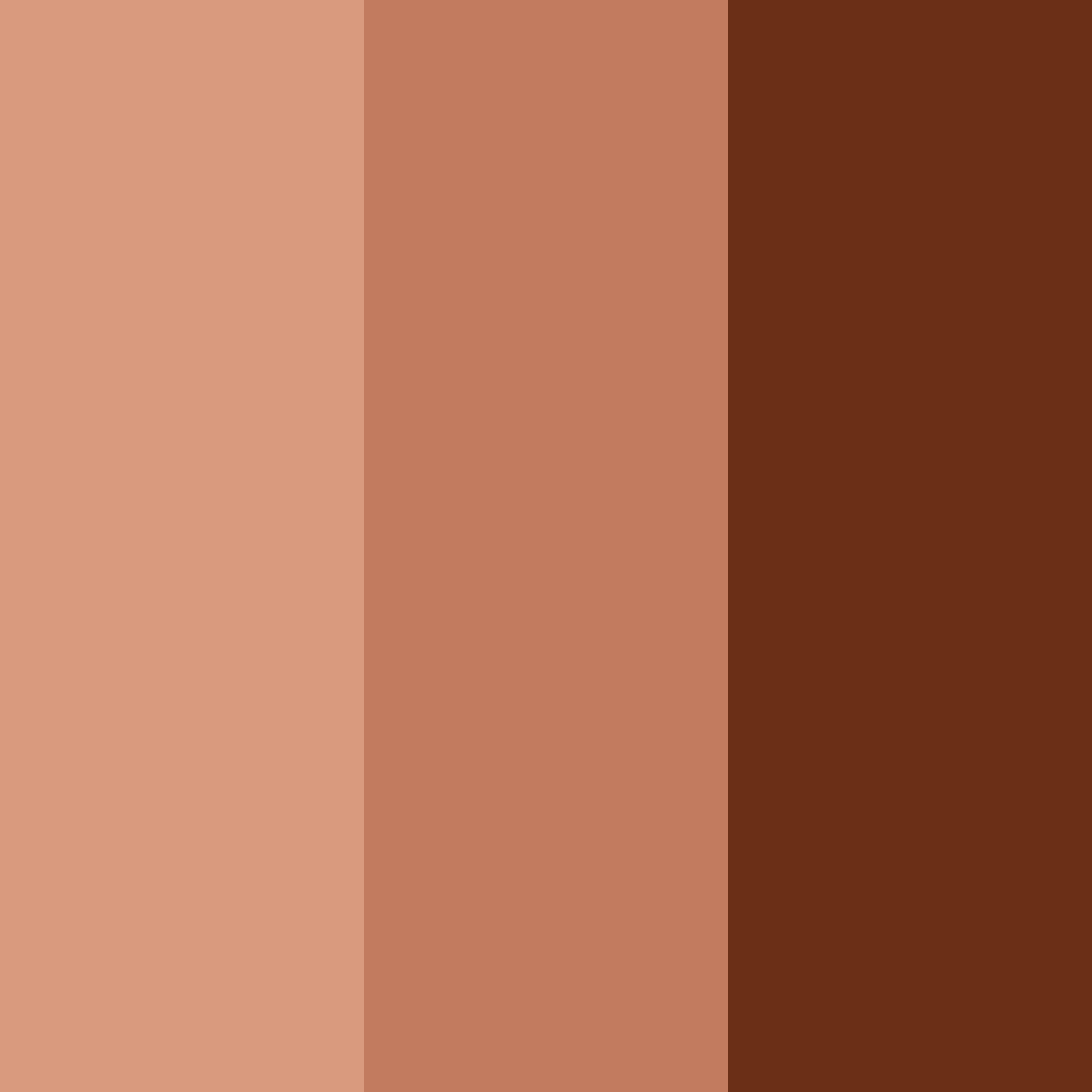 Download dark brown color palette PNG image (square)