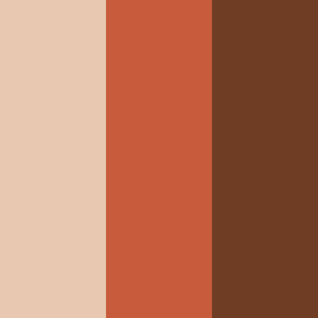 Download rustic elegance color palette PNG image (square)