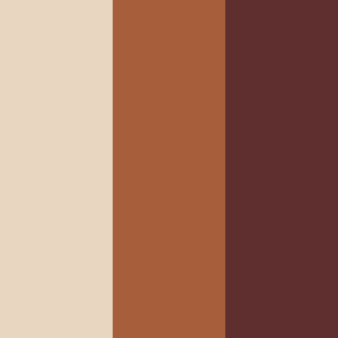Download rustic elegance color palette PNG image (square)