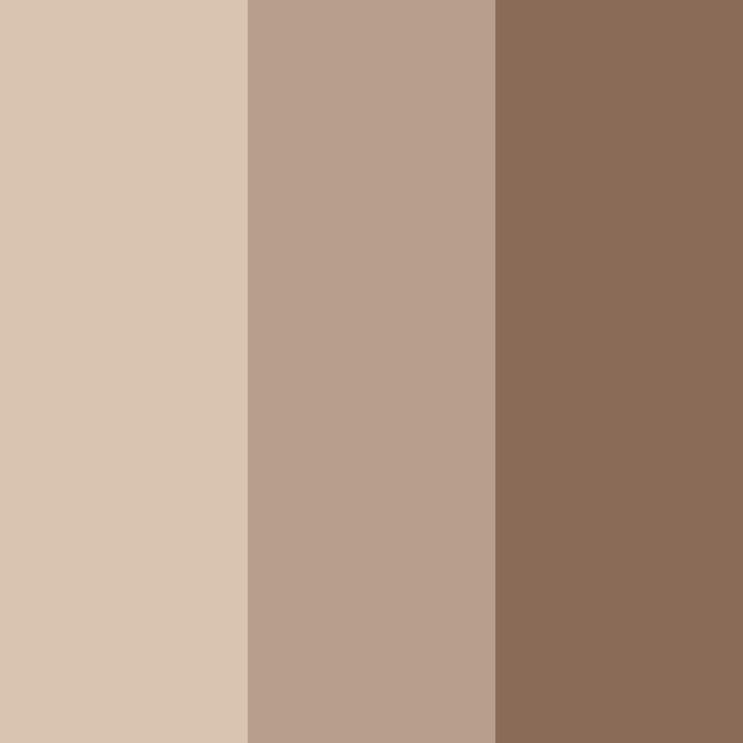 Download pastel brown tones color palette PNG image (square)