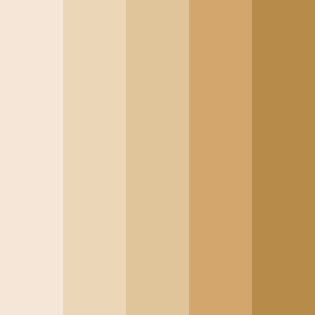 Download beige delight color palette PNG image (square)