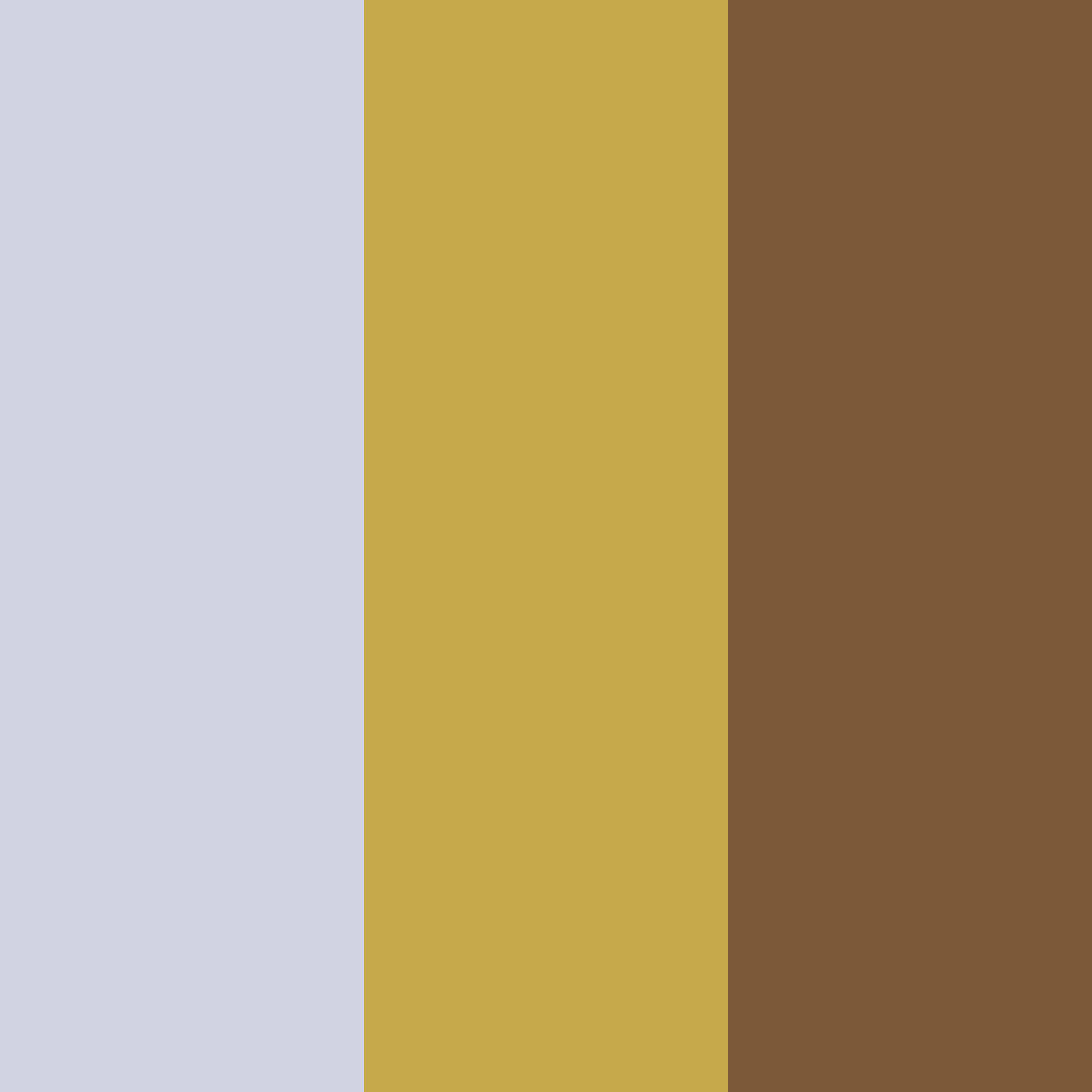 Download smoky spice reverie color palette PNG image (square)