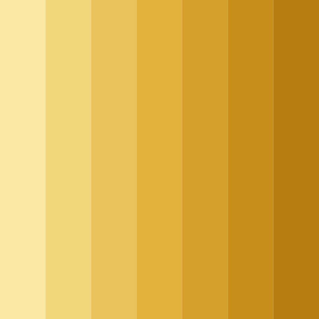 Download sunlit meadow color palette PNG image (square)