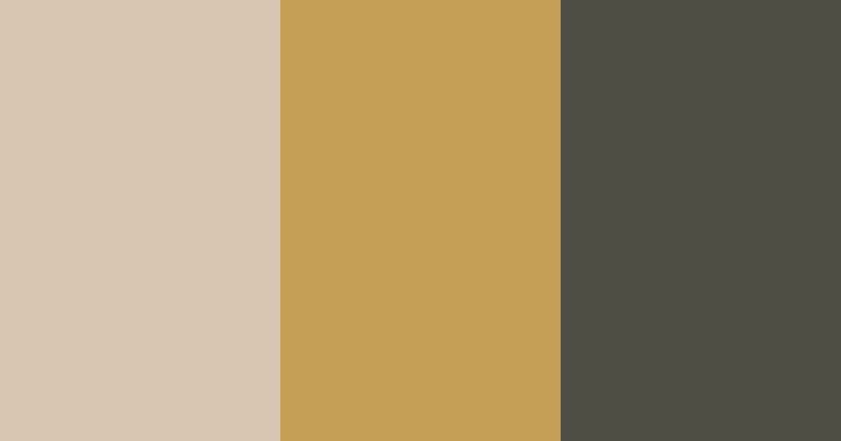 Download warm cocoa color palette PNG image (landscape)