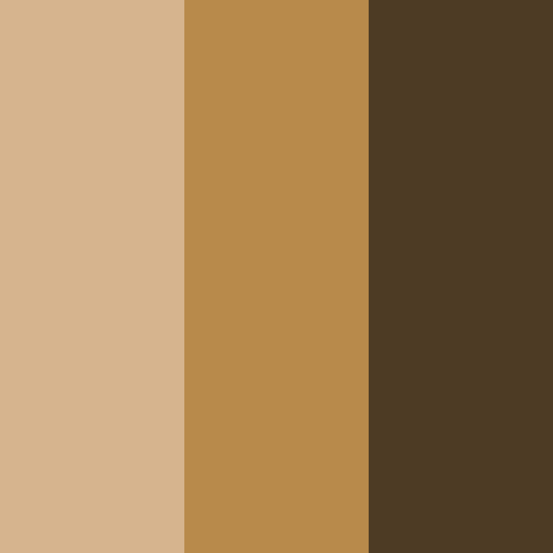 Download warm cocoa color palette PNG image (square)