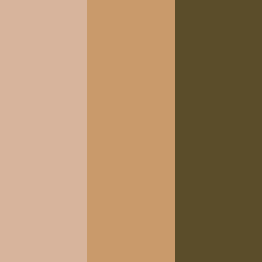 Download warm cocoa color palette PNG image (square)