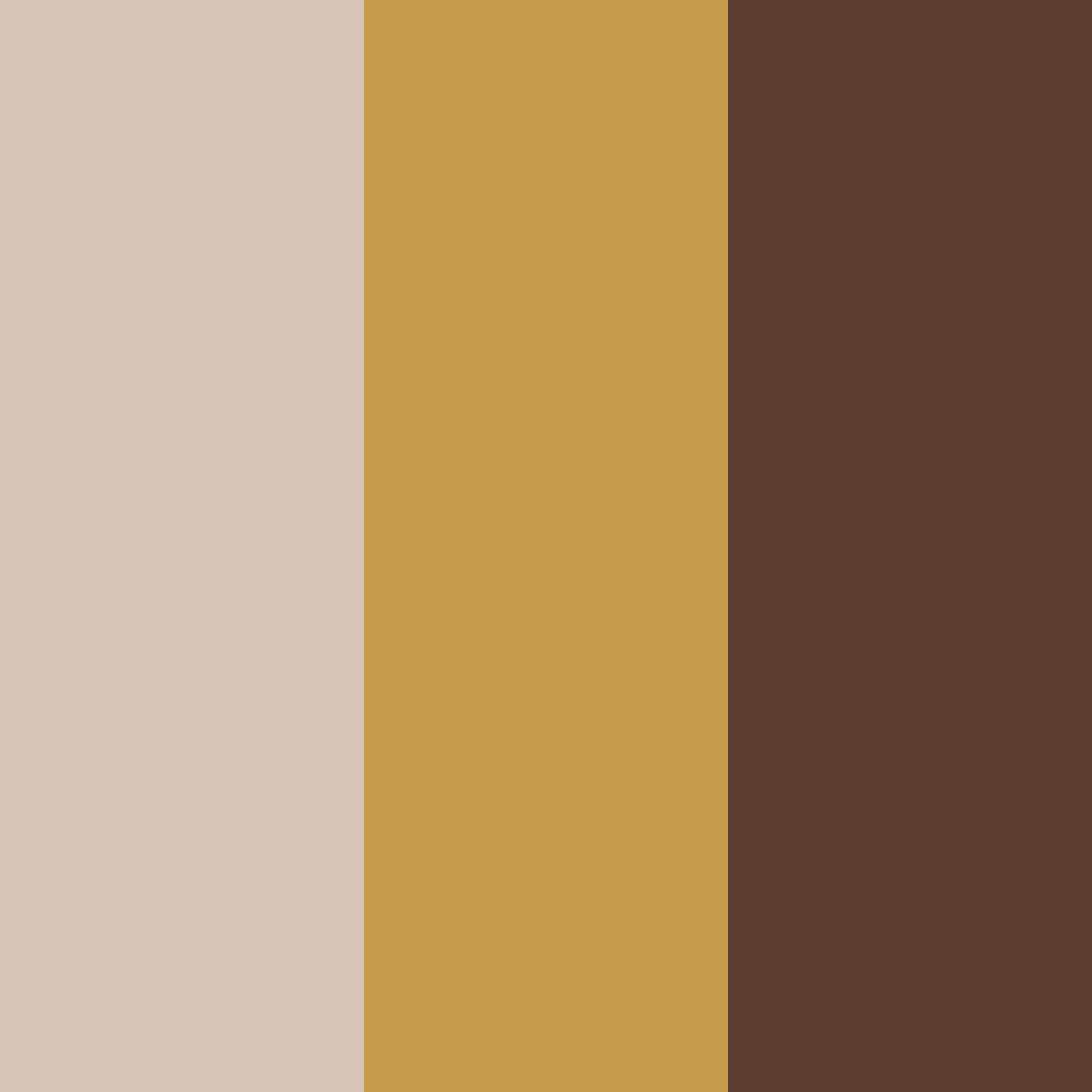 Download warm cocoa color palette PNG image (square)