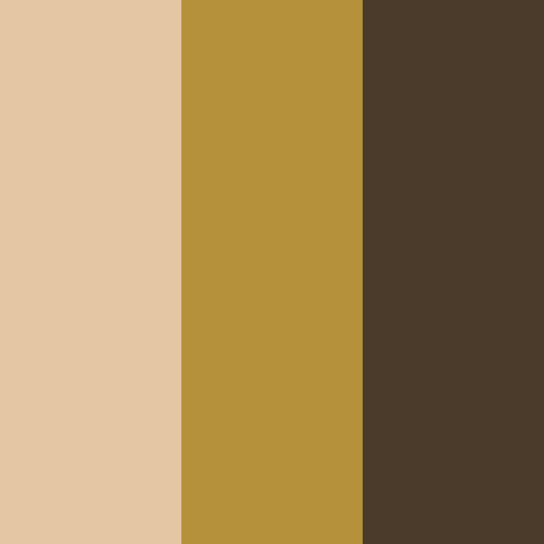 Download warm cocoa brown color palette PNG image (square)