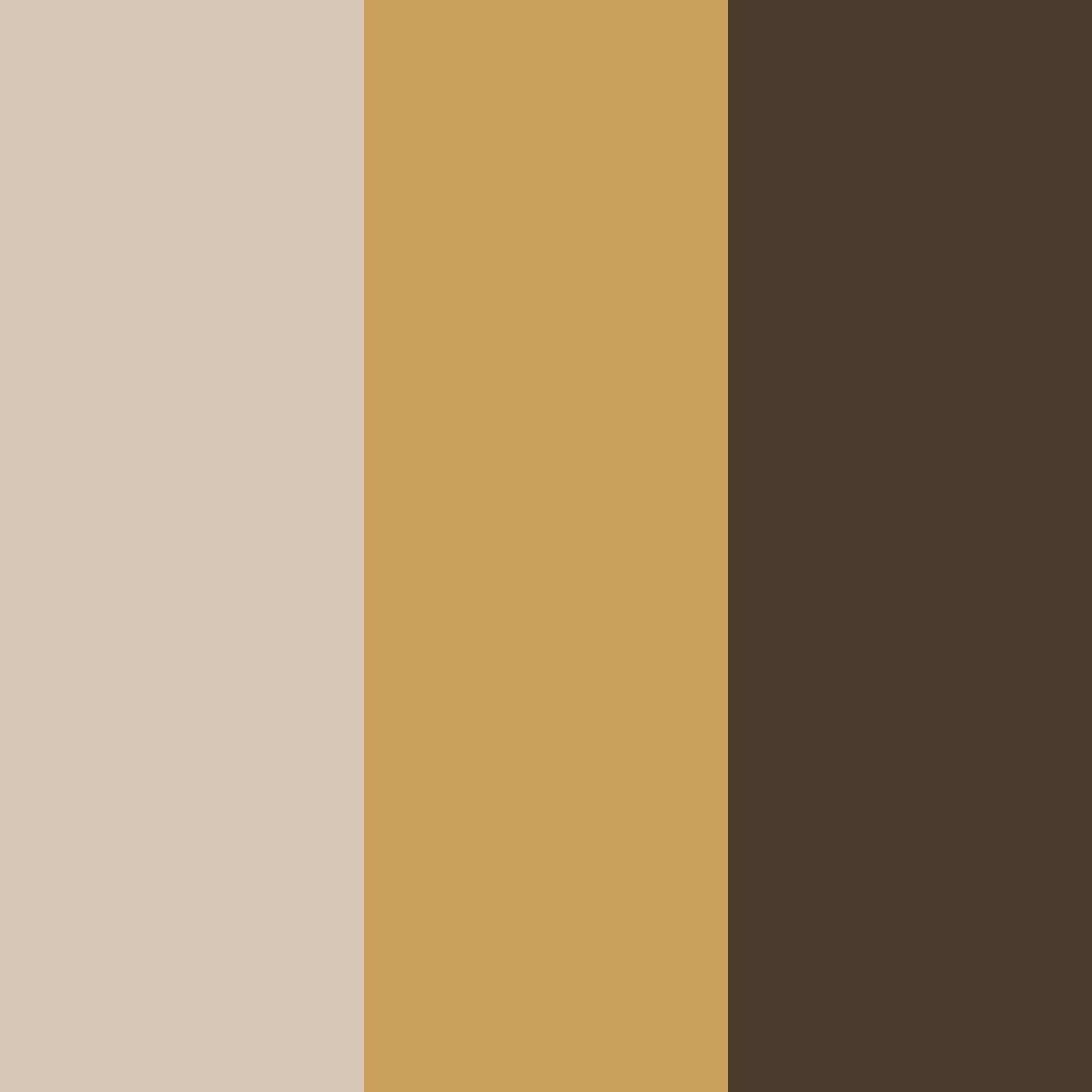 Download warm cocoa color palette PNG image (square)