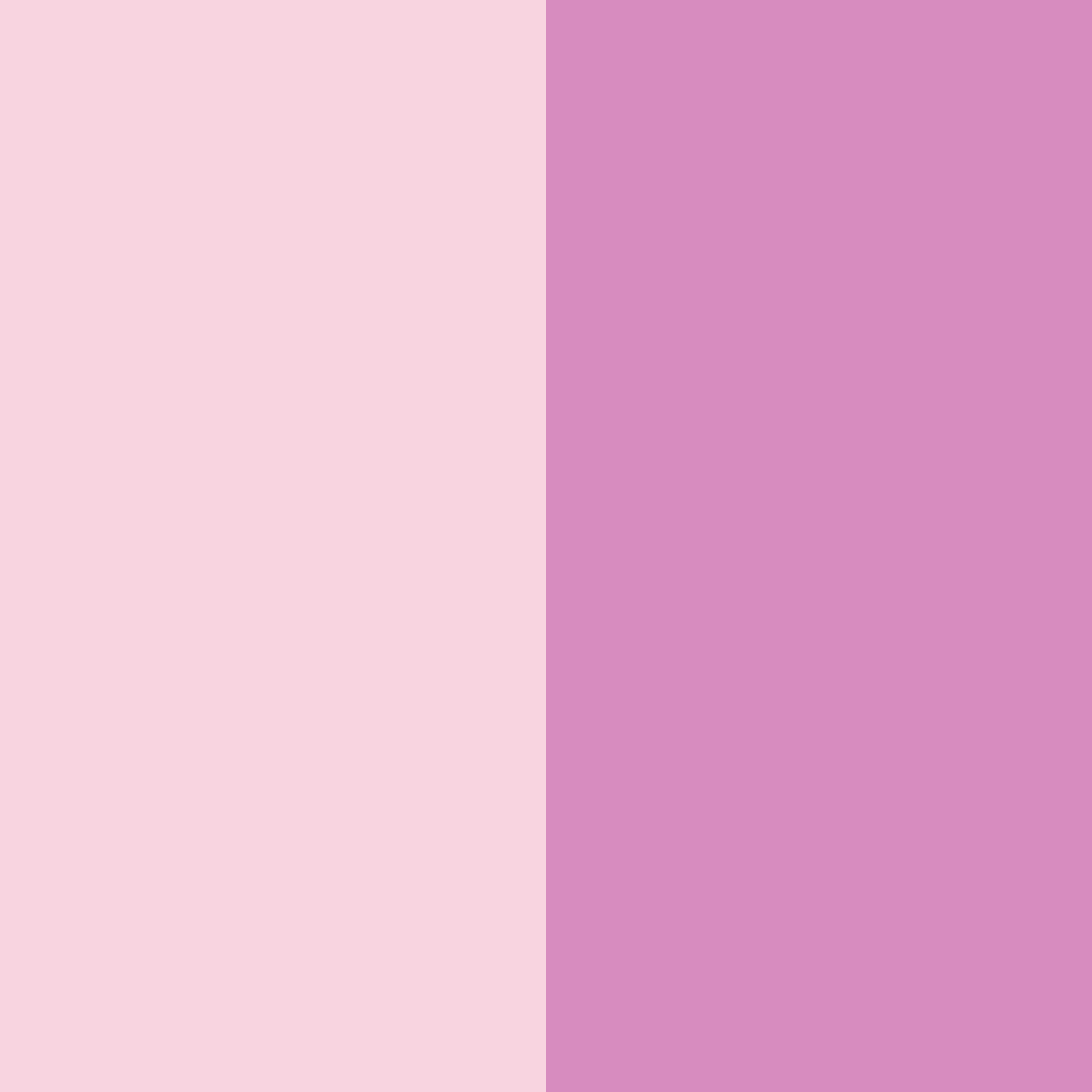 Download blushing blossoms color palette PNG image (square)