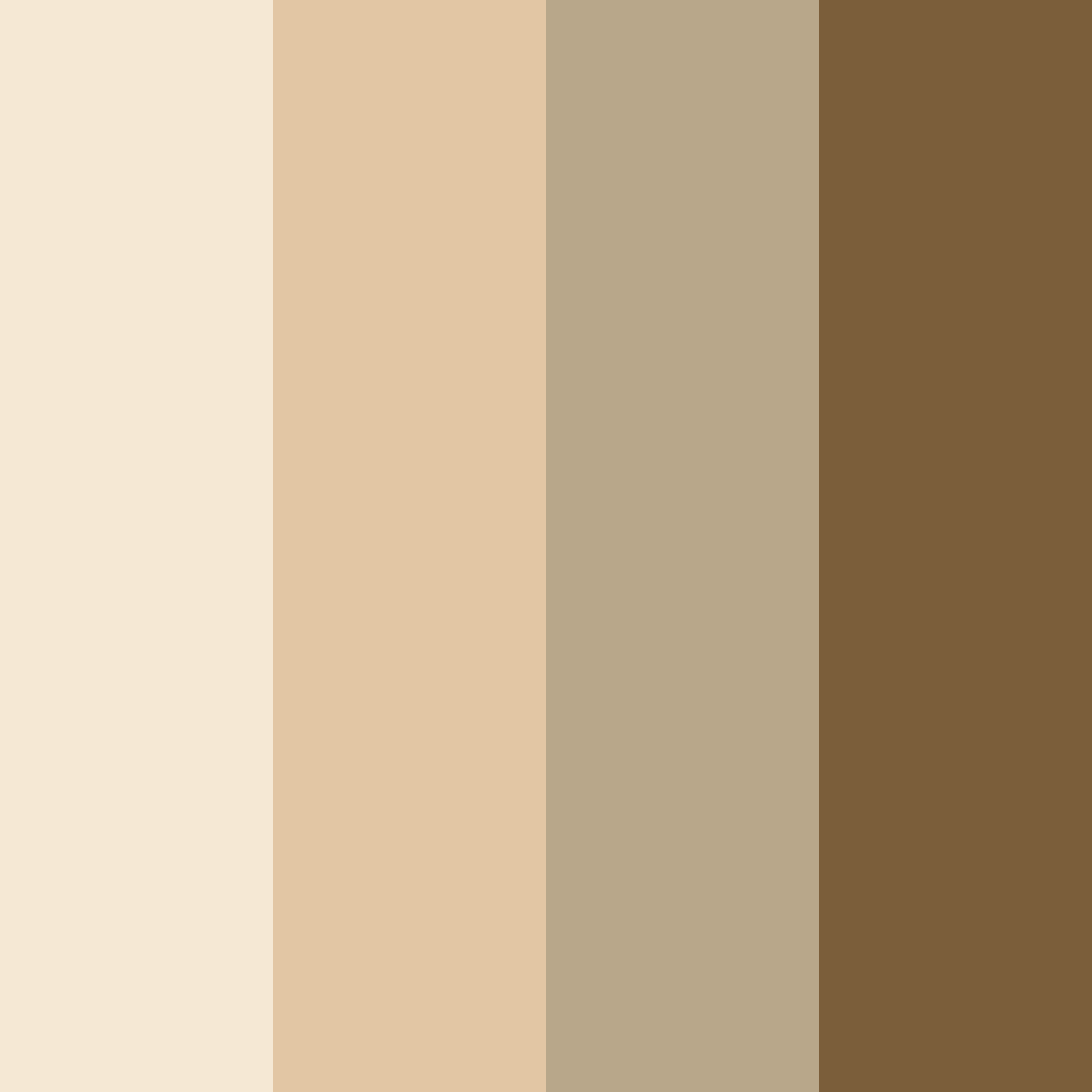 Download oatmeal brown color palette PNG image (square)